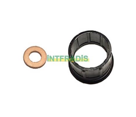 Intfradis 10123 Seal Kit, injector nozzle 10123