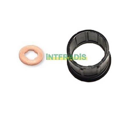 Intfradis 10122K Seal Kit, injector nozzle 10122K