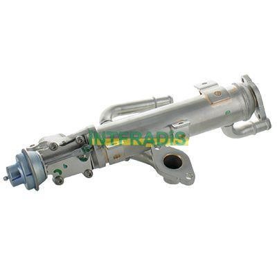 Intfradis 25991 EGR Valve 25991