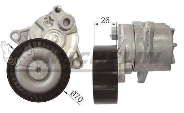 Michelin Engine Parts SMAMP01324 Idler roller SMAMP01324