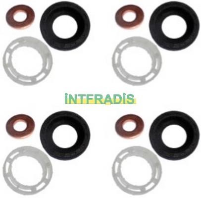 Intfradis 10199K4 Seal Kit, injector nozzle 10199K4