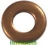 Intfradis 10160 Seal Ring, nozzle holder 10160
