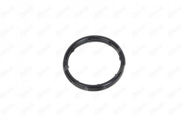 IBRAS 21176 Seal Ring, oil cooler 21176