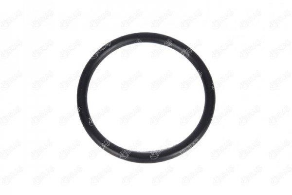 IBRAS 33803 Seal Ring, coolant tube 33803
