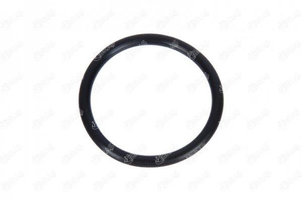IBRAS 33802 Seal Ring, coolant tube 33802