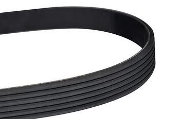 WXQP 10812 V-Ribbed Belt 10812