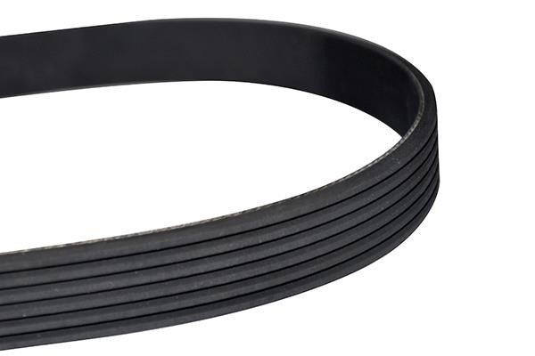 WXQP 10800 V-Ribbed Belt 10800