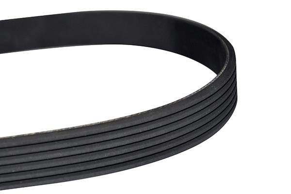 WXQP 10815 V-Ribbed Belt 10815