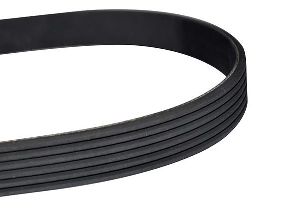 WXQP 10845 V-Ribbed Belt 10845