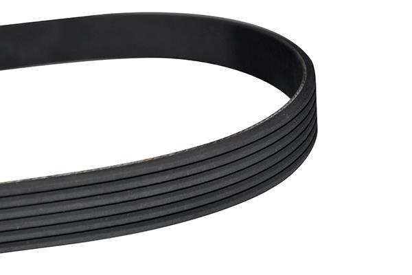 WXQP 10870 V-Ribbed Belt 10870
