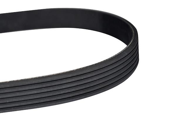 WXQP 10832 V-Ribbed Belt 10832