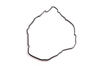 WXQP 10103 Gasket, cylinder head cover 10103