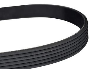 WXQP 10802 V-Ribbed Belt 10802