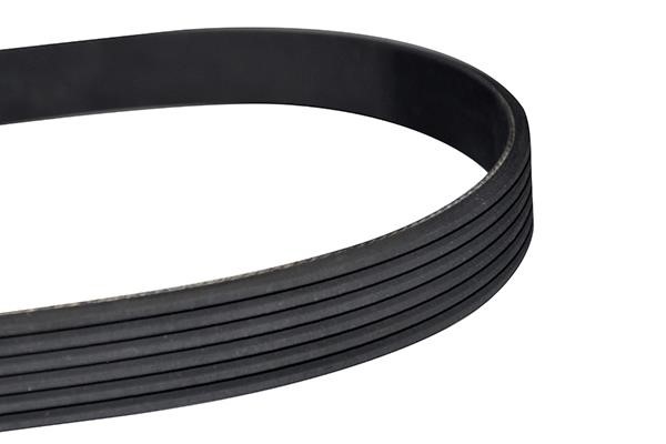 WXQP 11904 V-Ribbed Belt 11904