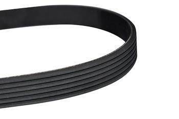 WXQP 10762 V-Ribbed Belt 10762