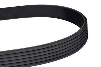 WXQP 10829 V-Ribbed Belt 10829