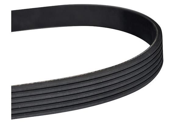 WXQP 10803 V-Ribbed Belt 10803