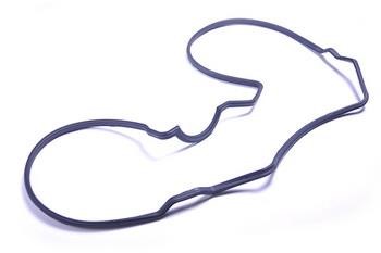 WXQP 10011 Gasket, cylinder head cover 10011