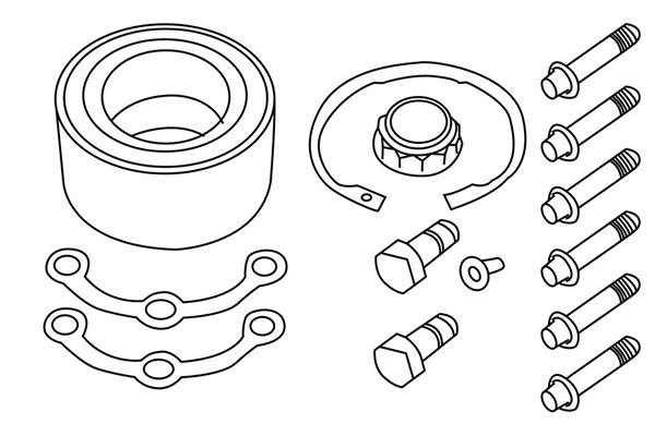 WXQP 161229 Wheel bearing kit 161229