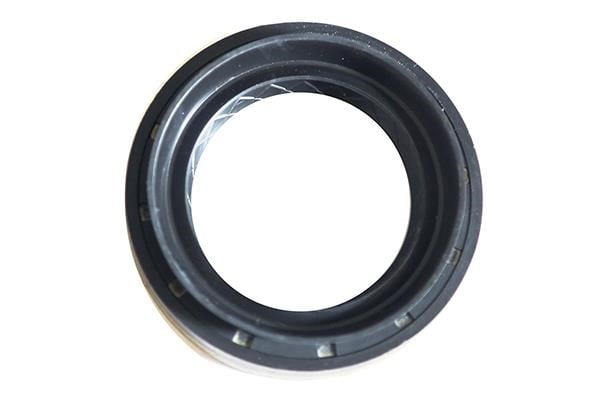 WXQP 560847 Shaft Seal, differential 560847