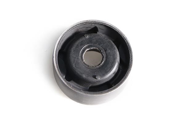 WXQP 53299 Control Arm-/Trailing Arm Bush 53299