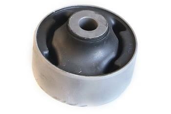 Control Arm-&#x2F;Trailing Arm Bush WXQP 53995