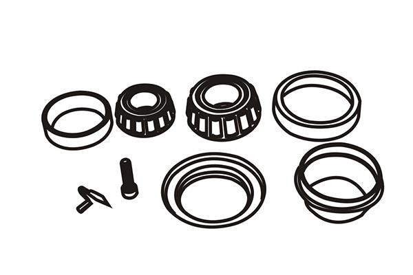 WXQP 161563 Wheel bearing kit 161563