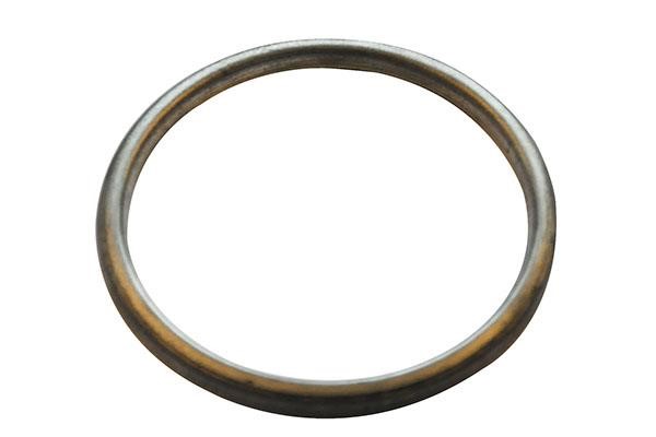 WXQP 10455 Exhaust pipe gasket 10455