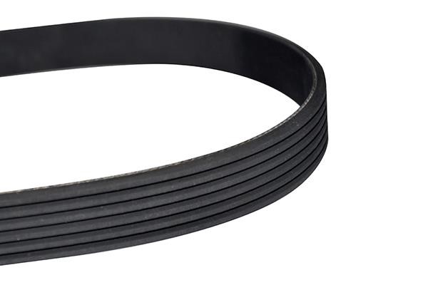 WXQP 10895 V-Ribbed Belt 10895