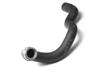 Radiator hose WXQP 120895