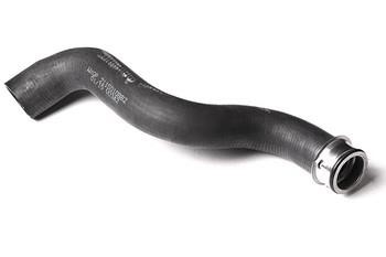 Radiator hose WXQP 120897