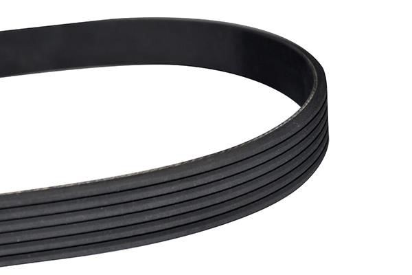 WXQP 10843 V-Ribbed Belt 10843