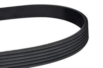 WXQP 10785 V-Ribbed Belt 10785