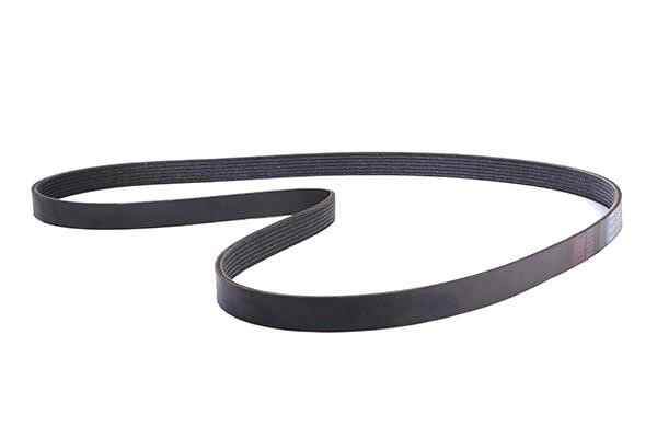 WXQP 11774 V-Ribbed Belt 11774