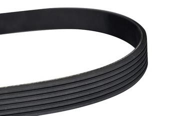 WXQP 10818 V-Ribbed Belt 10818