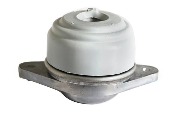 WXQP 181651 Engine mount 181651