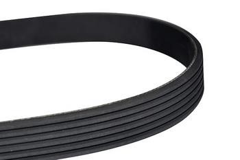 WXQP 10814 V-Ribbed Belt 10814