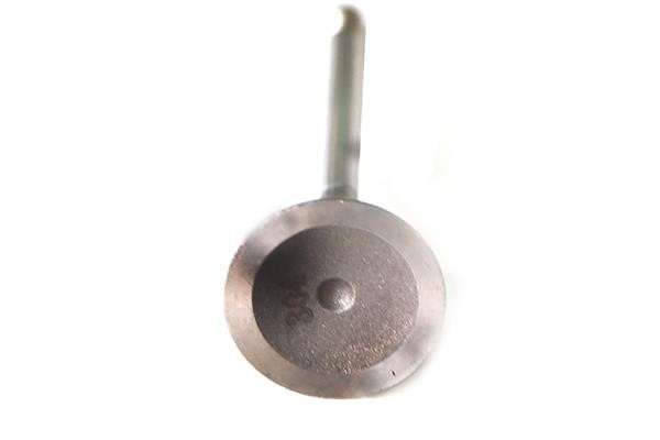 WXQP 211185 Intake valve 211185