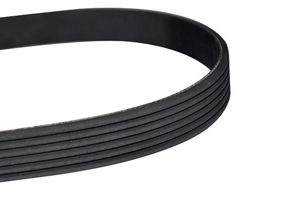 WXQP 10890 V-Ribbed Belt 10890