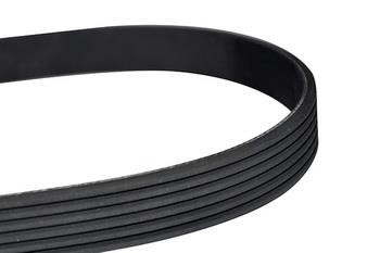 WXQP 10780 V-Ribbed Belt 10780