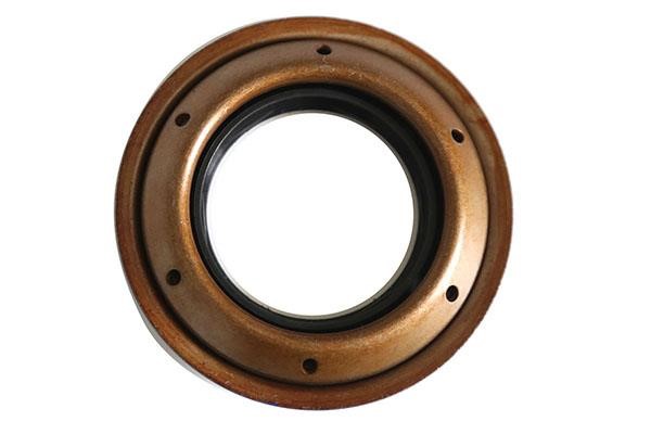 WXQP 561033 Shaft Seal, differential 561033