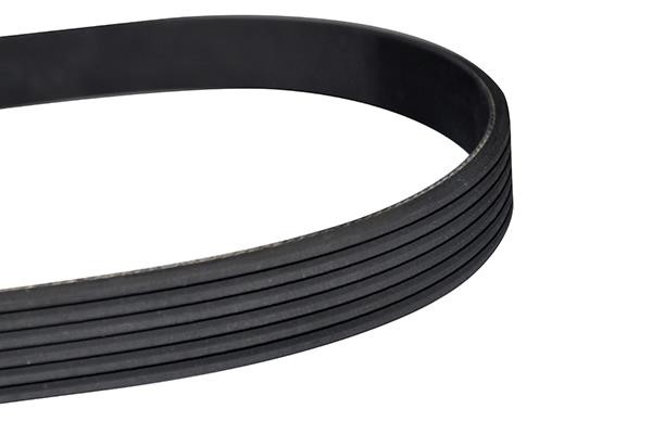 WXQP 10892 V-Ribbed Belt 10892