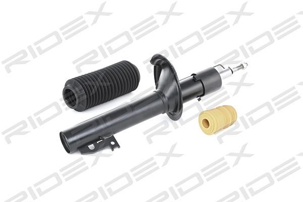 Ridex 854S0548 Front oil and gas suspension shock absorber 854S0548