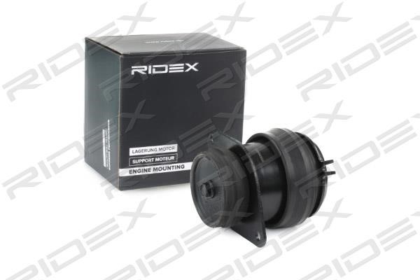Ridex 247E0201 Engine mount 247E0201