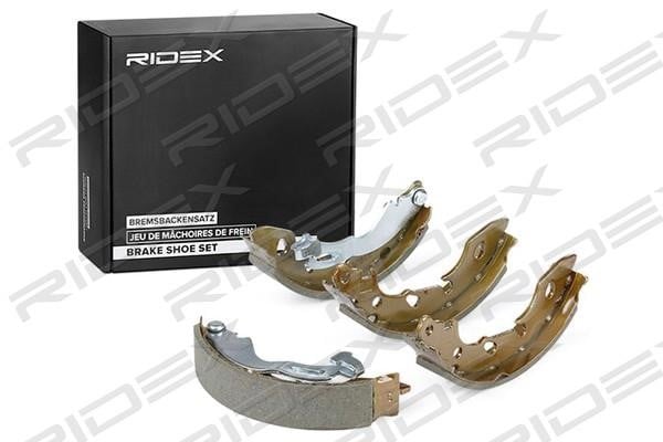 Ridex 70B0349 Brake shoe set 70B0349