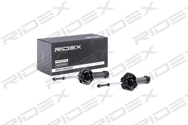 Ridex 854S2139 Rear oil and gas suspension shock absorber 854S2139