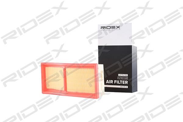 Ridex 8A0048 Air filter 8A0048