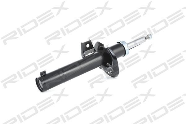 Ridex 854S0665 Front oil and gas suspension shock absorber 854S0665