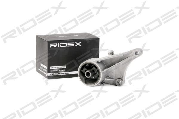 Ridex 247E0089 Engine mount 247E0089