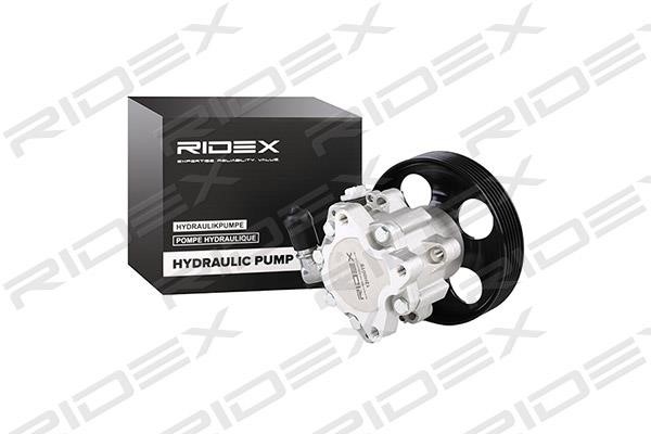 Ridex 12H0019 Hydraulic Pump, steering system 12H0019